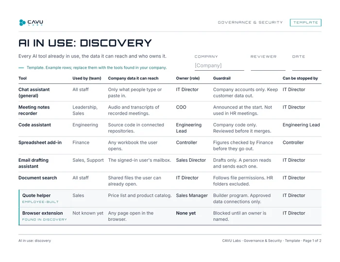 AI in use discovery template showing tools, data access, owners and guardrails